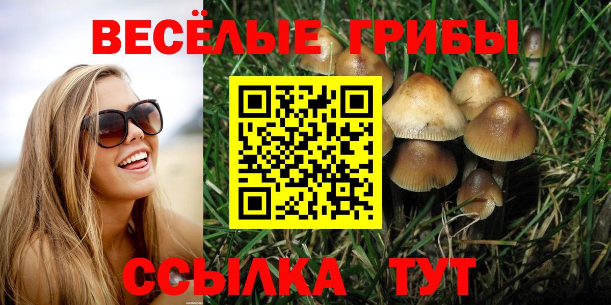 Котлас  Галлюциногенные грибы мухоморы  Вход с VPN 